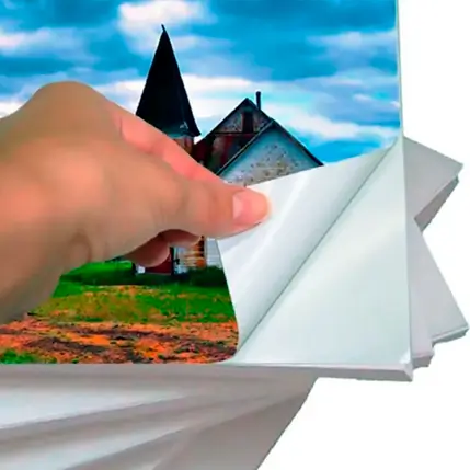 Imagem de Adesivo de Papel